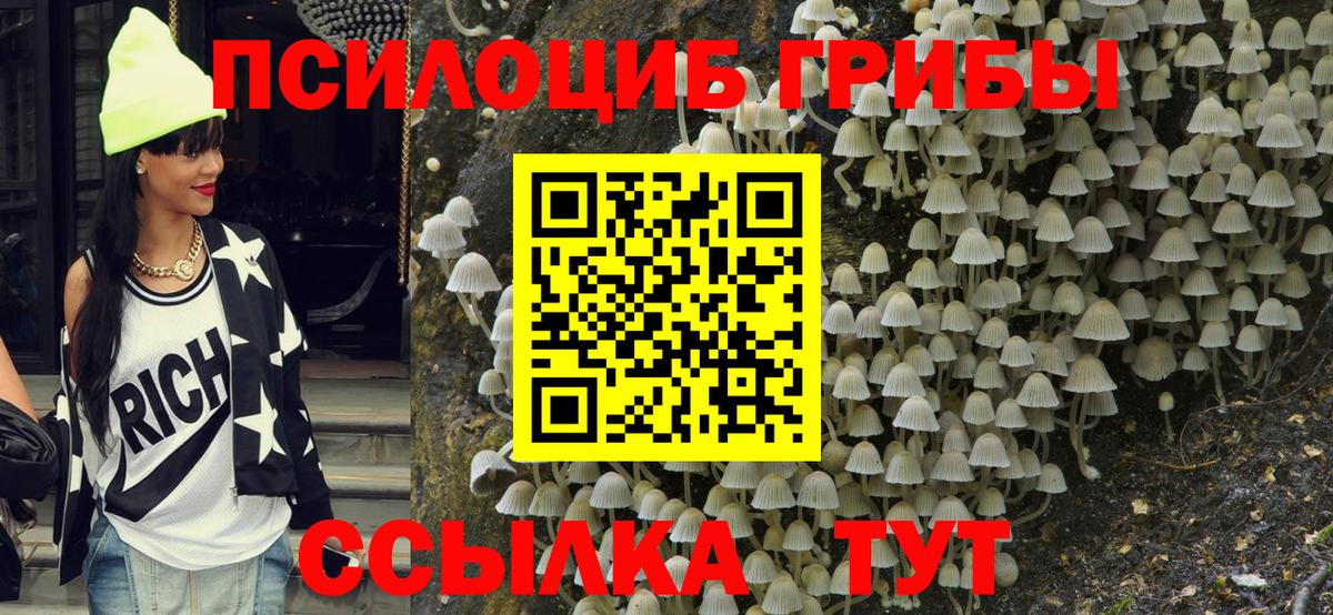Мурино  Галлюциногенные грибы Psilocybe  Вход с VPN 