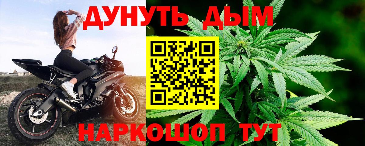 Канабис конопля Мурино